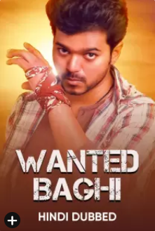 Wanted Baghi 2007 11479 Poster.jpg